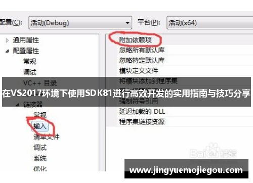在VS2017环境下使用SDK81进行高效开发的实用指南与技巧分享