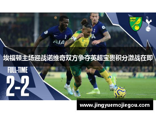 埃福顿主场迎战诺维奇双方争夺英超宝贵积分激战在即