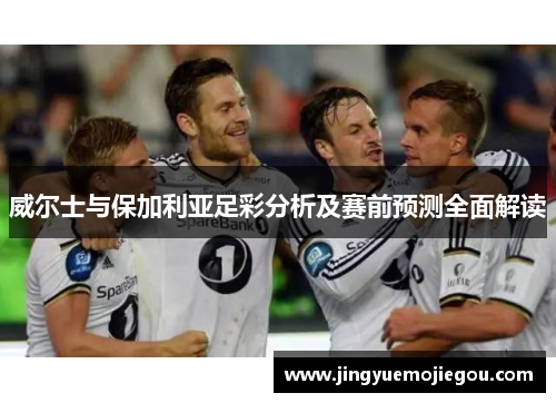 威尔士与保加利亚足彩分析及赛前预测全面解读